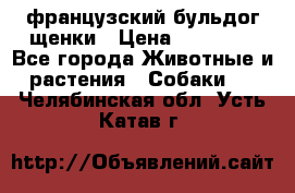 французский бульдог щенки › Цена ­ 50 000 - Все города Животные и растения » Собаки   . Челябинская обл.,Усть-Катав г.